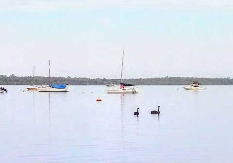 Beautiful, Peaceful Estuary Views, Five Star Quantity - Tourism Noosa 3