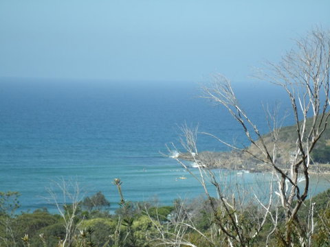 Benji's By The Sea - Tourism Noosa 0