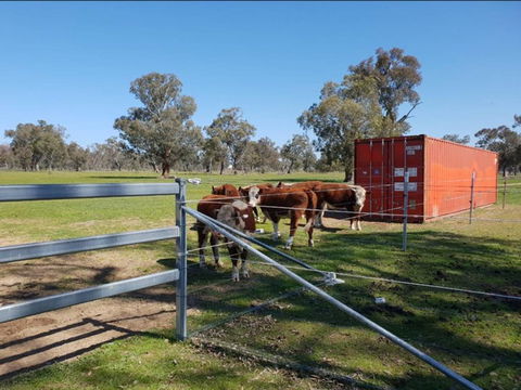 Big Tiny Jindera Park - Tourism Noosa 2