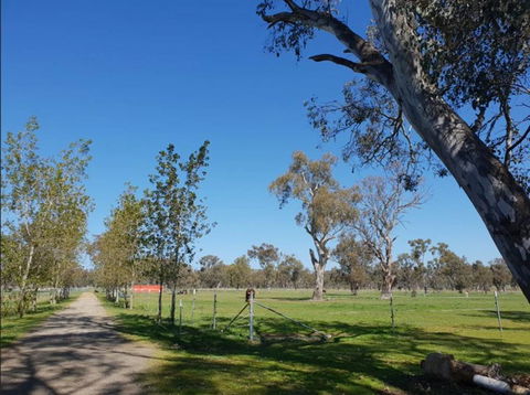 Big Tiny Jindera Park - Tourism Noosa 3