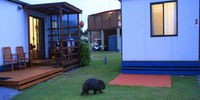 Book Kelso Accommodation Vacations Tourism Noosa Tourism Noosa