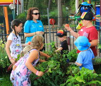 Book Lemon Tree Passage Accommodation Vacations Tourism Noosa Tourism Noosa