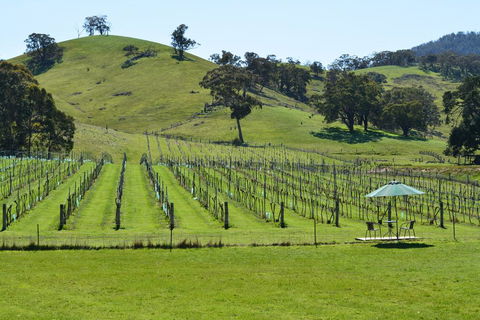 Blue House At Mountainside Wines - Tourism Noosa 0