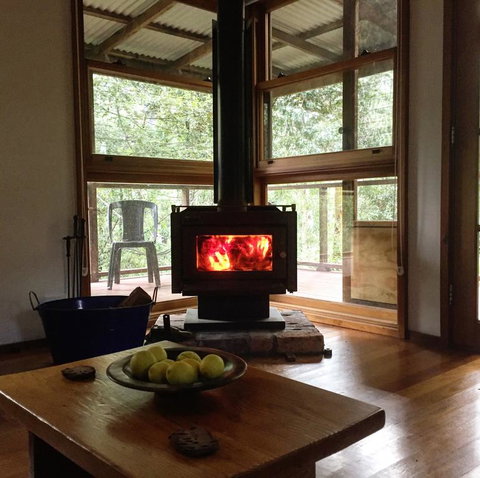 Bluegums Cabins - Tourism Noosa 1