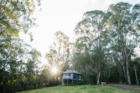 Bluegums Cabins - Tourism Noosa 0