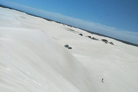 Yanchep & Lancelin - Wildlife, Cave And Sands - Tourism Noosa 3