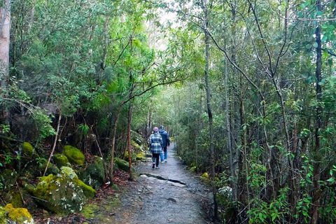 Kunanyi/Mt Wellington Tour & Hobart Hop-On Hop-Off Bus - Tourism Noosa 1