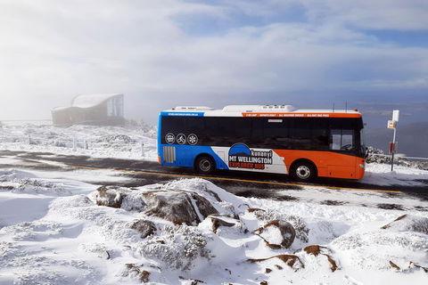 Kunanyi/Mt Wellington Tour & Hobart Hop-On Hop-Off Bus - Tourism Noosa 2