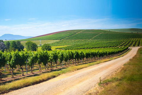 Full Day Tamar Valley Wine Tour - Tourism Noosa 1