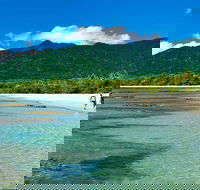 5-Day Best of Cairns with Daintree Kuranda and Great Barrier Reef - Tourism Noosa