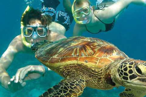 8-Day Cairns Tour: Great Barrier Reef, Kuranda, Daintree Rainforest - Tourism Noosa 1