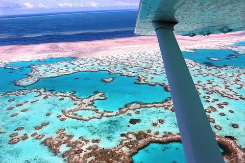 8-Day Cairns Tour: Great Barrier Reef, Kuranda, Daintree Rainforest - Tourism Noosa 2