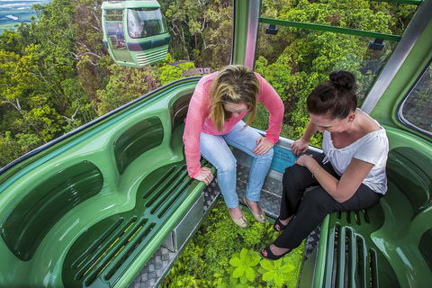 8-Day Cairns Tour: Great Barrier Reef, Kuranda, Daintree Rainforest - Tourism Noosa 3