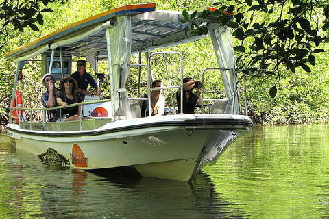 8-Day Cairns Tour: Great Barrier Reef, Kuranda, Daintree Rainforest - Tourism Noosa 5