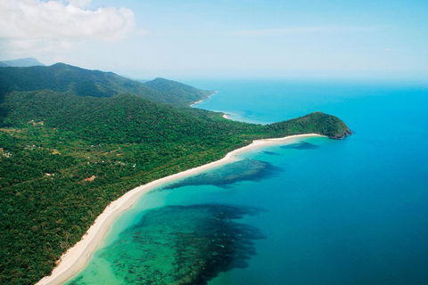 Cape Tribulation, Mossman Gorge, And Daintree Rainforest Premium Day Tour - Tourism Noosa 2