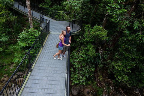 Cape Tribulation, Mossman Gorge, And Daintree Rainforest Premium Day Tour - Tourism Noosa 3