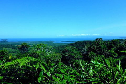 Cape Tribulation, Mossman Gorge, And Daintree Rainforest Premium Day Tour - Tourism Noosa 5