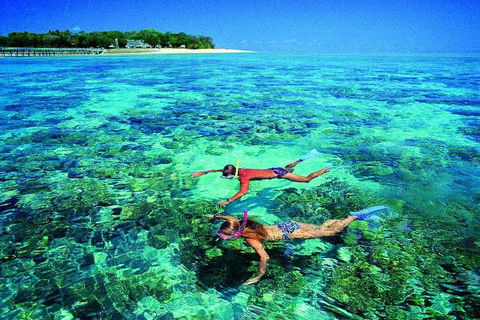 4-Day Cairns With Great Barrier Reef And Daintree Rainforest - Tourism Noosa 2