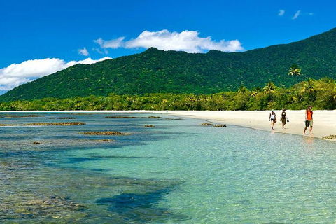 Private Daintree National Park Day Tour From Cairns Including Cape Tribulation And Mossman Gorge - Tourism Noosa 0