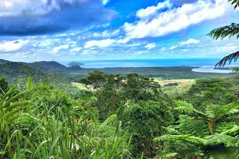 Private Daintree National Park Day Tour From Cairns Including Cape Tribulation And Mossman Gorge - Tourism Noosa 2
