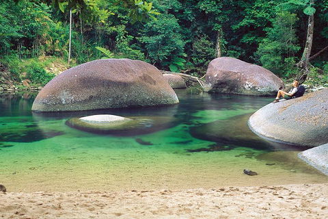 Private Daintree National Park Day Tour From Cairns Including Cape Tribulation And Mossman Gorge - Tourism Noosa 4