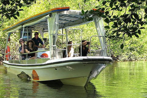 Private Daintree National Park Day Tour From Cairns Including Cape Tribulation And Mossman Gorge - Tourism Noosa 5