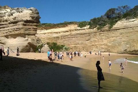 Great Ocean Road Full Day Private Experience - Tourism Noosa 3