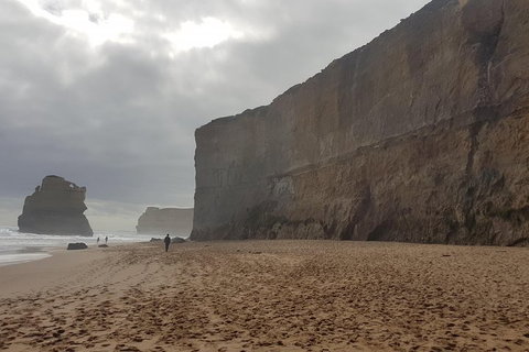 Private Express Experience - 12 Apostles - Tourism Noosa 4