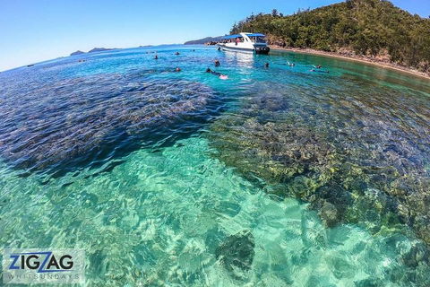 Whitehaven Beach Day Tour With Snorkel In Whitsundays Island - Tourism Noosa 5