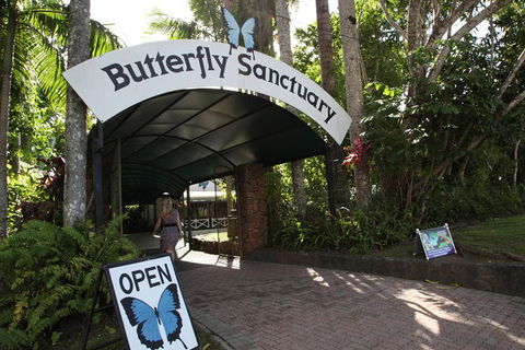 Kuranda Day Trip From Port Douglas Upgrade To Skyrail & Scenic Train Available - Tourism Noosa 0