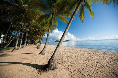 Kuranda Day Trip From Port Douglas Upgrade To Skyrail & Scenic Train Available - Tourism Noosa 1