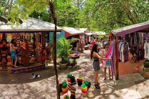 Kuranda Day Trip From Port Douglas Upgrade To Skyrail & Scenic Train Available - Tourism Noosa 2