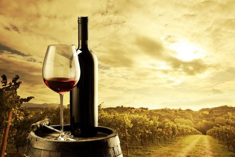 McLaren Vale Luxury Wine Tour - Tourism Noosa 0