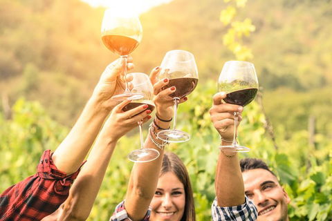 McLaren Vale Luxury Wine Tour - Tourism Noosa 2