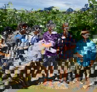 Adelaide Hills and Hahndorf - Half Day Private Tour - Tourism Noosa