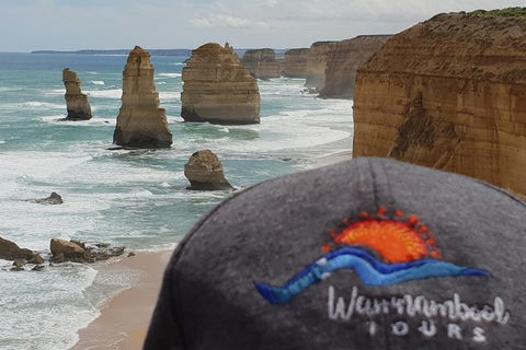 12 Apostles Tour From Warrnambool - Tourism Noosa 4