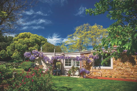 McLaren Vale Winery Small Group Tour With Wine Tasting And Lunch - Tourism Noosa 2