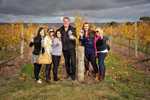 McLaren Vale Winery Small Group Tour With Wine Tasting And Lunch - Tourism Noosa 3