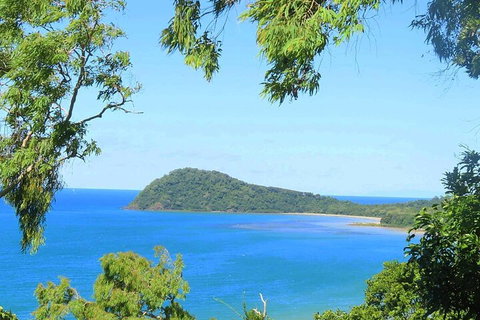 Full Day Tour In The Daintree - Tourism Noosa 1