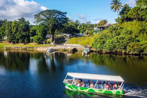 Full Day Tour In The Daintree - Tourism Noosa 2