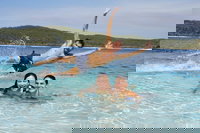 Book Viator Accommodation Vacations Tourism Noosa Tourism Noosa