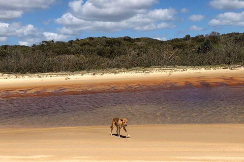 Pippies 3 Days 2 Nights Fraser Island Tour - Tourism Noosa 2