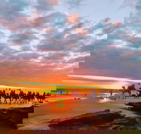 1 Hour Broome Sunset Camel Tour - Tourism Noosa