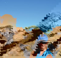 Broome Pre-sunset Camel Tour 30 minutes - Tourism Noosa