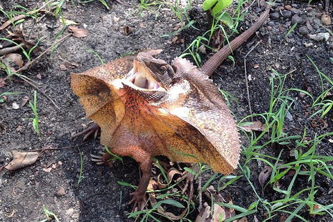 Litchfield National Park And Jumping Crocodile Cruise - Tourism Noosa 1