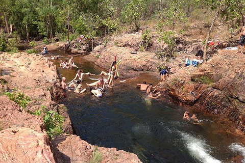 Litchfield National Park And Jumping Crocodile Cruise - Tourism Noosa 5