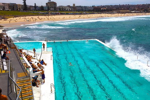 Private Sydney Half Day Tour Including Sydney Opera House And Bondi Beach - Tourism Noosa 1