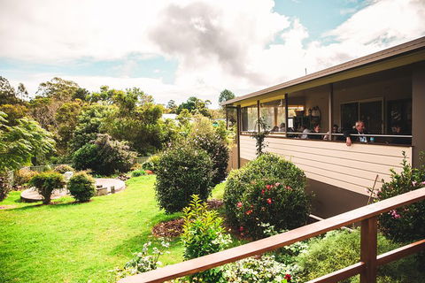 Full-day Springbrook National Park Tour From The Gold Coast - Tourism Noosa 2