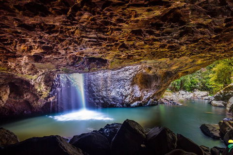 Full-day Springbrook National Park Tour From The Gold Coast - Tourism Noosa 3