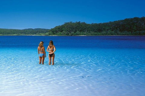 Fraser Island 4WD Tour From Noosa - Tourism Noosa 2